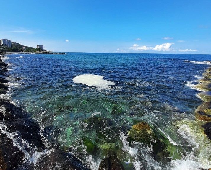 Alipaşa Plajı - Merkez - Rize - Fotoğraf 7