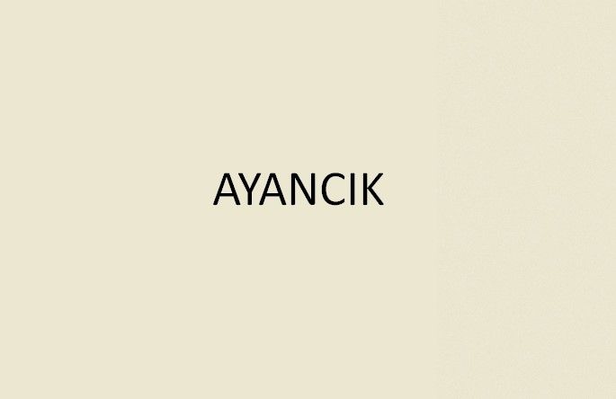 Ayancık'ta devam eden film çekimi