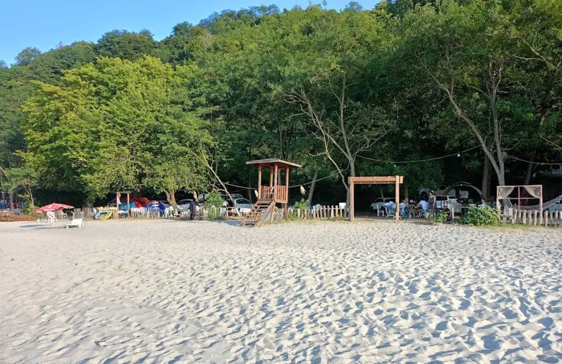 Çaka Plajı - Perşembe - Ordu - Fotoğraf 8