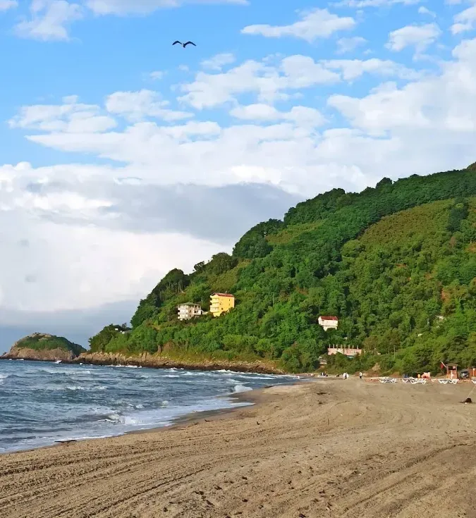 Çaka Plajı - Perşembe - Ordu - Fotoğraf 5