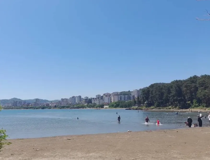 Fatsa Çamlık Plajı