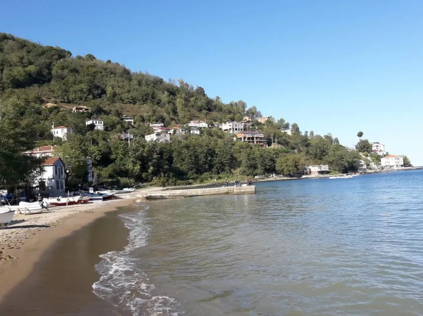 Perşembe Çeşmeönü Plajı - Perşembe - Ordu - Fotoğraf 2