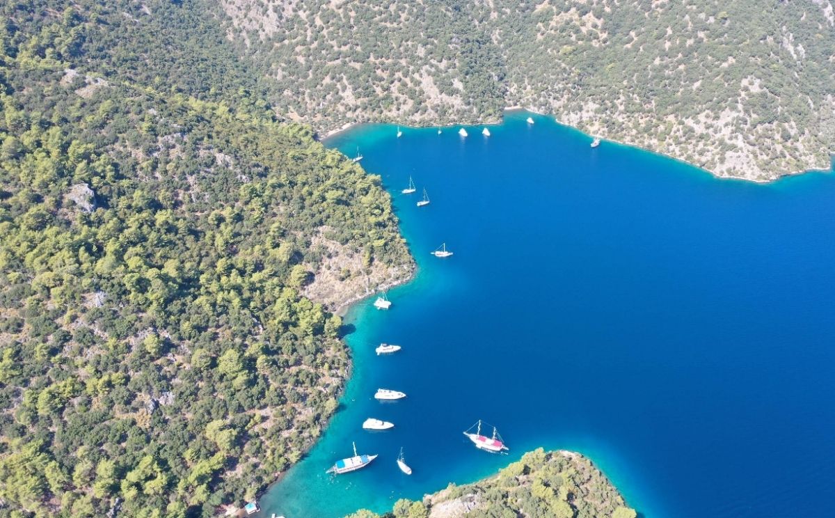 Domuz Adası Çevresi